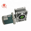 220V 55mm permanent magnet motor with worm gearmotor